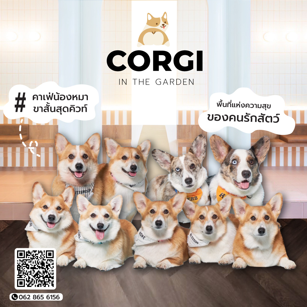 80037387-mobile-01-Dog-Cafe-Bkk-Corgi-in-the-garden-(178600)